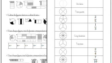 Découvrir les fractions avec les CM1
