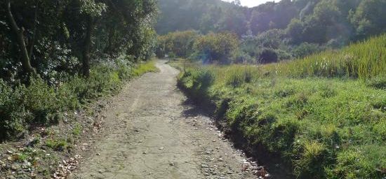 La Solfatara : entrée des Enfers de la Grande Grèce