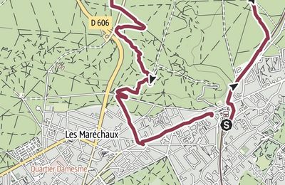 Dans la forêt de Fontainebleau (1/3)