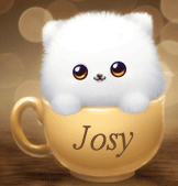 736 - Chat blanc dans le bol - gif animé, blinkie, signature