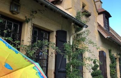Arbres remarquables et parapluies d'exception