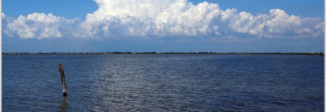 17 . Charente Maritime - Esnandes (1)