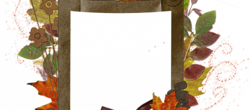 encadrements & Clusters automne 