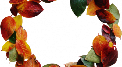 couronnes feuilles et branches