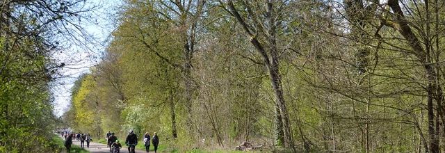 Histoire du Bois de Vincennes