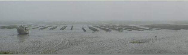 Parcs à huîtres dans la brume - Rivedoux-Plage - Ile de Ré