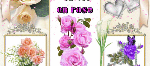 LA VIE EN ROSE