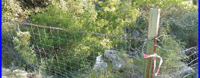Siou Blanc, la Barralière
