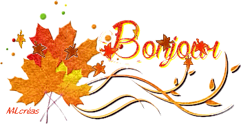 Corbeilles au crochet 