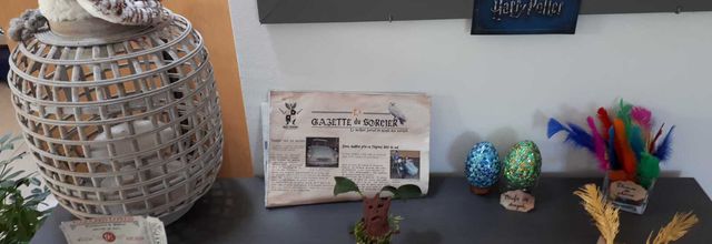 Anniversaire Harry Potter ; jour J 