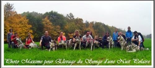 Cani-rando de Moulayrès (25 octobre 2015)