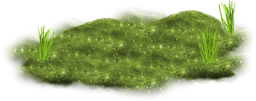 ѼVegetation