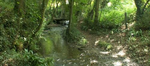 chemin dans le chemin - Jeu