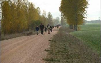 (J32) Cazaldilla de la Cueza / Villalcazar de Sirga 6 mai 2012 (1)