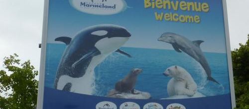 Bestiaire marin ..