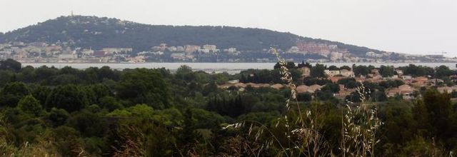 La garrigue...