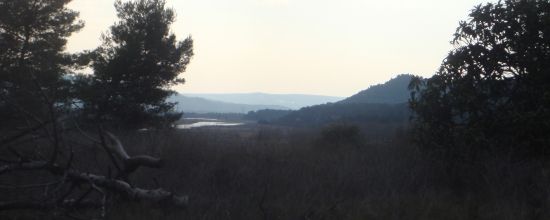 HARKIS : LOGIS D'ANNE,THEIR BITS OF FRANCE