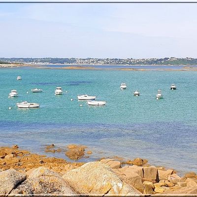 1090 - Trévou-Tréguignec, dans les Côtes-d’Armor (22) (Port Le Goff)