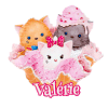 390 Glace aux 3 chatons