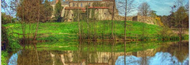 85 . Vendée - La Chaize le Vicomte (13) - Eglise / HDR