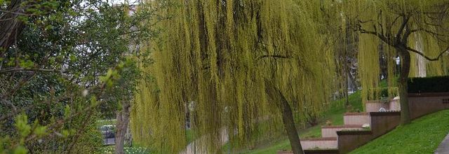 Parc de la Butte du Chapeau Rouge, 19ème arrondissement : Un petit «havre de paix»