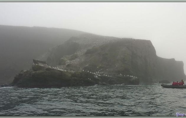 24 février 2013, 6 heures du matin: une très longue journée commence par un débarquement, malheureusement dans le brouillard, à Baily Head  - Deception Island - Péninsule Antarctique