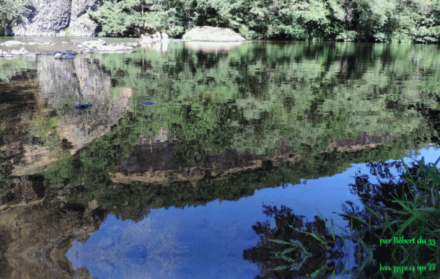 Reflets en gif